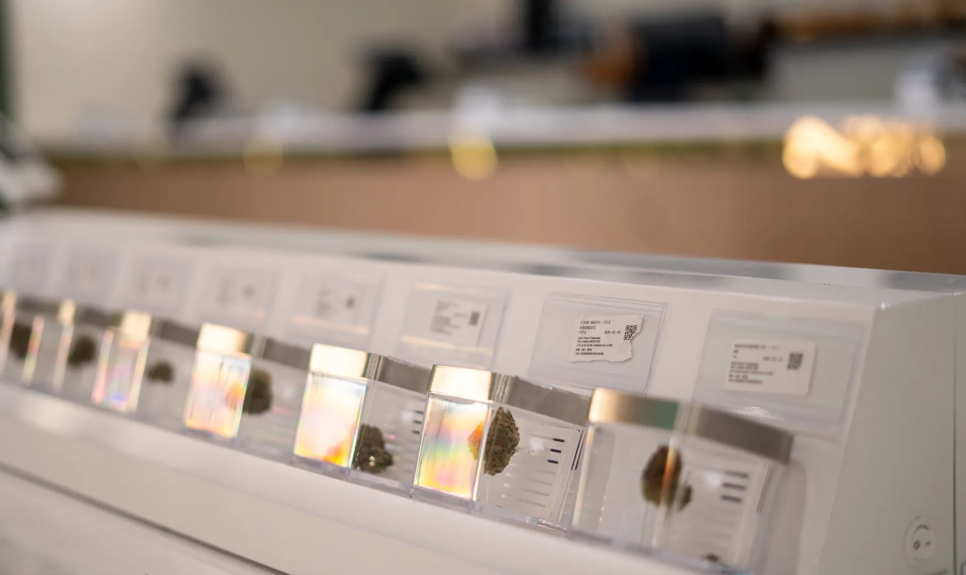 Rewards cards with loyalty points on a display at a dispensary